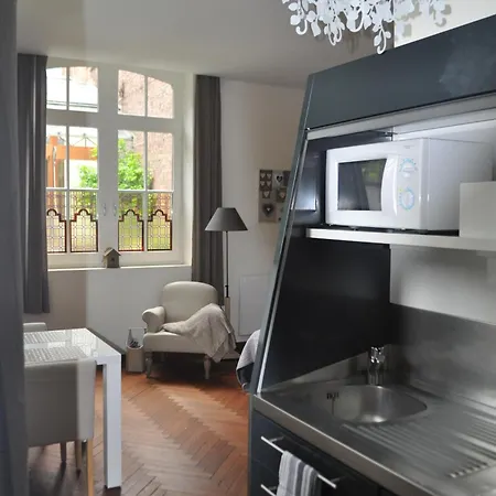 شقة فندقية Au Coeur Du Jardin ليل